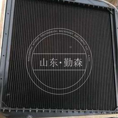 自卸车全件 型号LGB齐 自卸车HD配4箱65-7R水209-03-71110