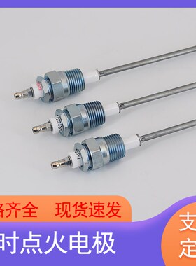 ECLIPSE点火棒10019728天时13047-1火花塞23045点火电极16946-5