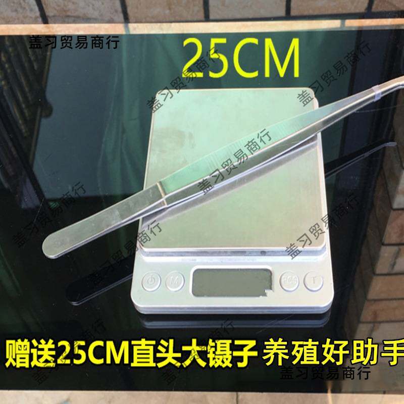 蝎子灯养殖紫光手电筒蝎子用豆虫强光充电手提3000米照明灯垒德株