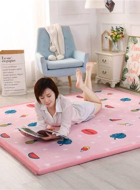 炕垫农村土炕榻榻米铺垫卧室加厚防滑床垫铺电热炕垫子宝宝爬华庚