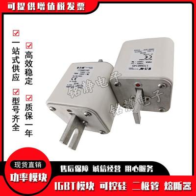 170M6142巴 170M6143 170M6144 170M6145 CDX70M646斯曼熔11断器