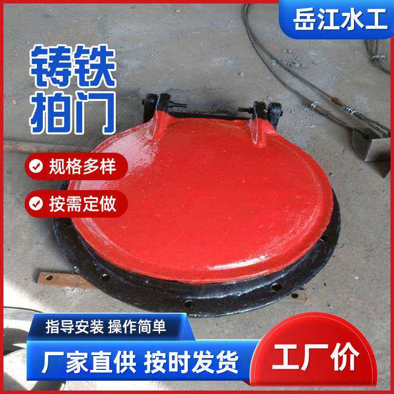 铁拍门防倒MAGA-102站水库污铸水泵浮箱拍灌门