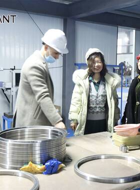 洛阳交叉滚子轴承厂家RU148X数控机器人RU148RU148G替代进口THK