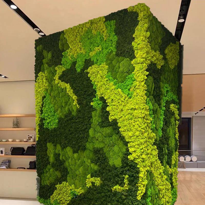 鹿角藓白发苔藓景仿真植物墙装0000饰造永青生苔景藓墙面假藓材料