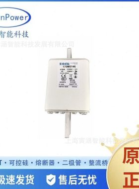 销售型号170M5146 630A 1250V 压跌开式熔断器/保险丝/底座