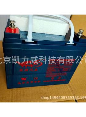 C国SB蓄电池GP1250(75212V6aH)美C6S电B瓶质保3年