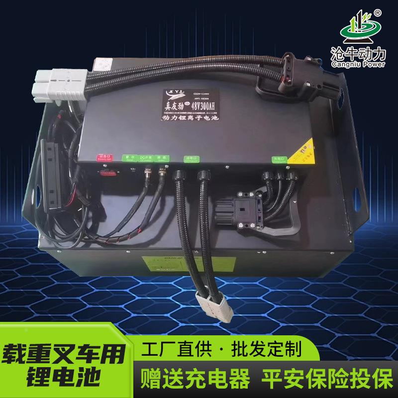 动动叉798车锂2电池载重仓储电动轨电道车力储能4V电动叉车锂电池