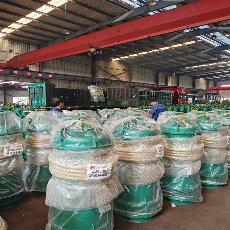 BQS500-20-75/潜水结构紧凑矿泵用隔爆型潜水N排沙241电泵