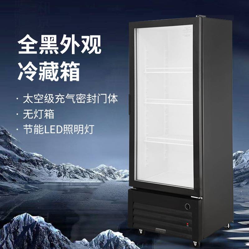 穗凌冰柜立式冷藏无灯箱单门保鲜展示柜冰箱饮料柜商用冷柜冰箱