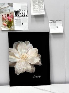 新品视现代轻奢复古黑茶白INS画山客厅85TMTH5M电柜斗柜鞋风柜装