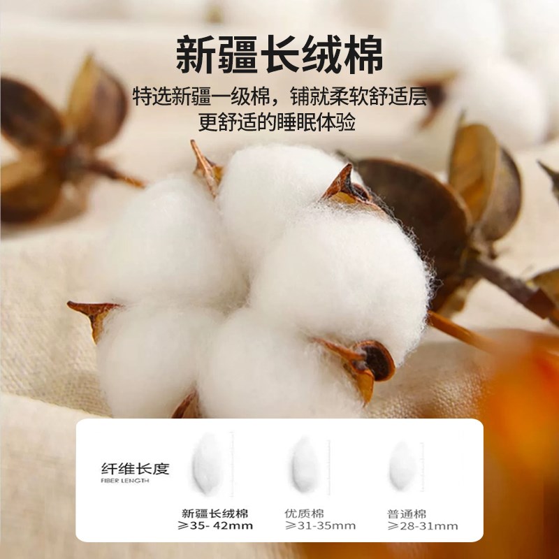 学生宿舍棉花床垫软垫单人90x190儿童专用大学Q寝室高中生住校褥