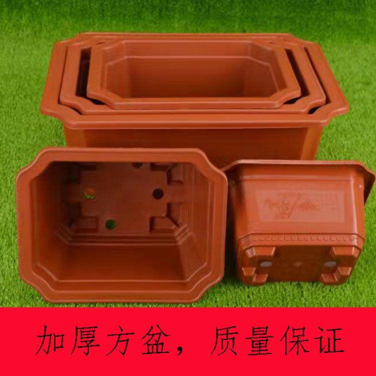 加厚长方形花盆塑料盆景