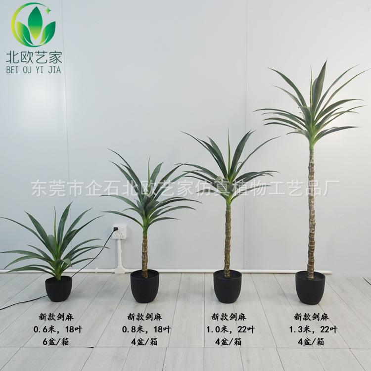 仿真剑北麻剑兰盆栽舌兰BO-JM-02欧室内饰装摆设人造沙漠绿龙植工