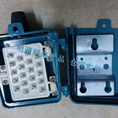 辉宏时代电话分线盒 室外语音电话接线盒10对20对30对50对100对