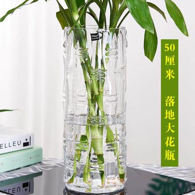 特大号落地富贵竹花瓶摆明玻璃XA-ZT666透水筒养水培直家用件客厅