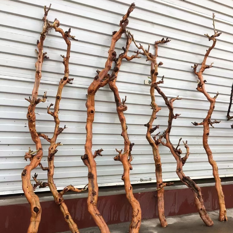 花艺造景景观布置枯树干支树枝造型枯枝去皮N漂白干支葡萄树带分