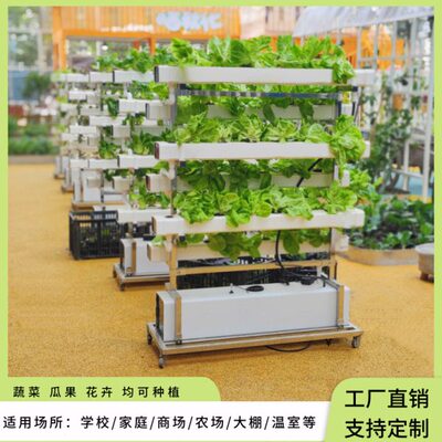NFT无土栽培蔬菜草莓种植双面垂直架水培设备阳台水耕多层种菜机