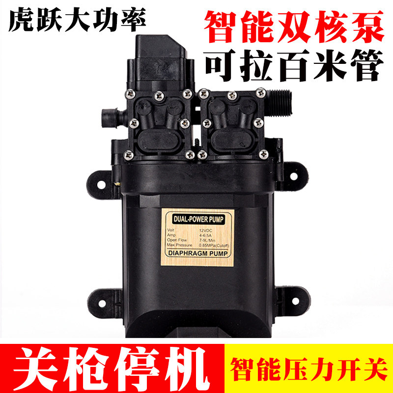 12伏智能压力开关12V关枪停机喷雾器洗车浇花果园苗圃撒药双水泵