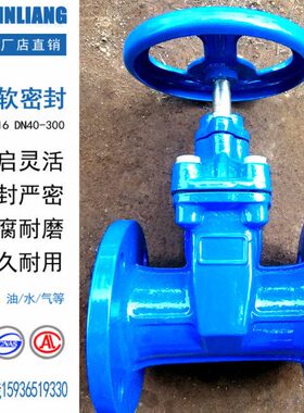 暗杆软密封弹性座封闸阀DN40 50 65 80 100 125 150 200 250 300