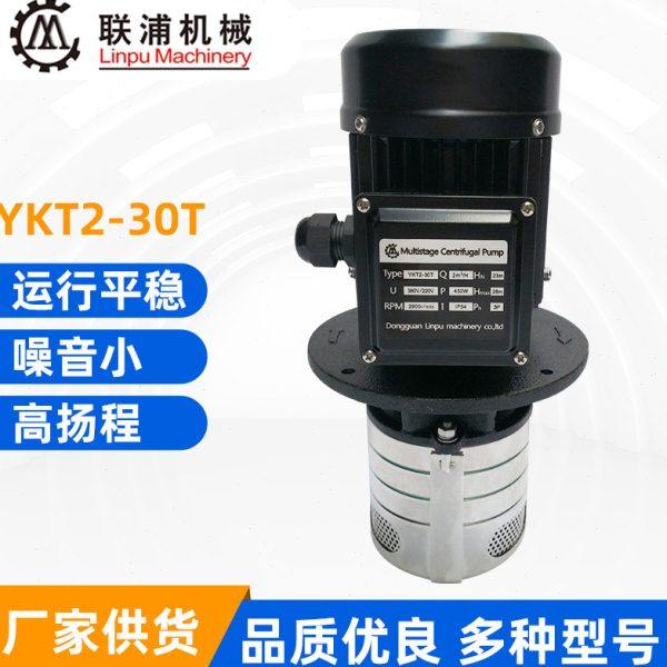 厂家供应YKT2-30T立式数控机床泵 机床压油泵 标准压泵,五金/工具,水泵,淘宝优惠券,粉丝福利购,淘宝优惠卷