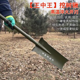 锰钢挖树铲子专业挖树锹加厚全钢起树专用铁锹神器农用钢锹铁锨