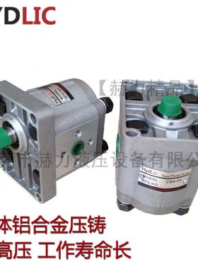 430E310Y E齿轮泵630赫力4N30LI C 精品H6 F310D30CE-F FB