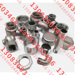 GAI-L12-n1/2NPT-SS  内螺纹端直通