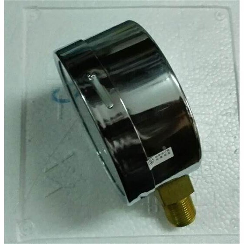 中国仪器行业协会理事 上海仪s川仪表厂 膜盒压力表 YE100 0-10kP