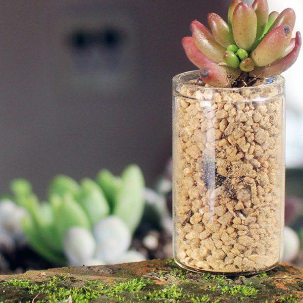 包邮迷你试管花瓶特小花器可爱拇指多肉玻璃瓶子控养容器水培器皿