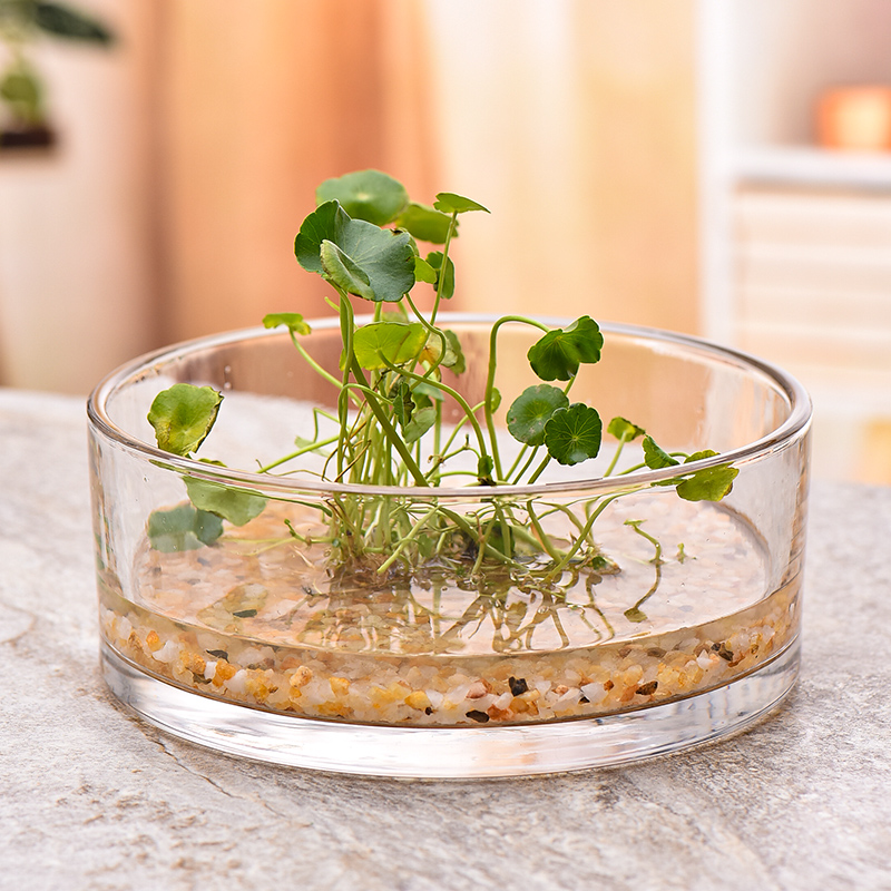 加厚水族鱼缸敞口大号玻璃花瓶摆件家用斗缸养鱼乌龟X水培透明花