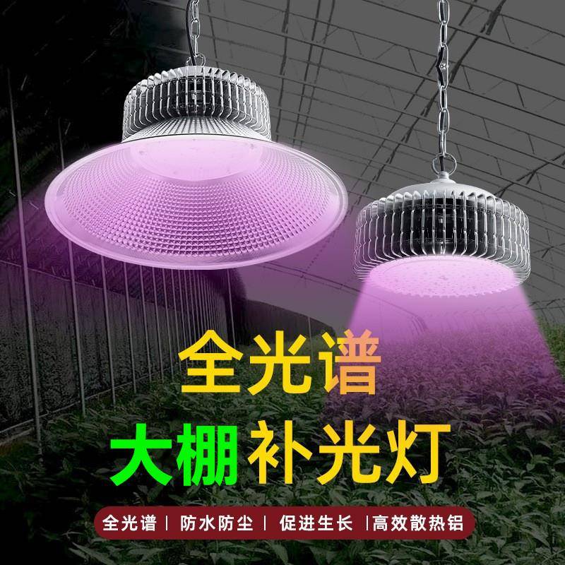 LED全光谱兰花植物补光灯植物生长灯君子兰绿植花卉育苗温室大棚