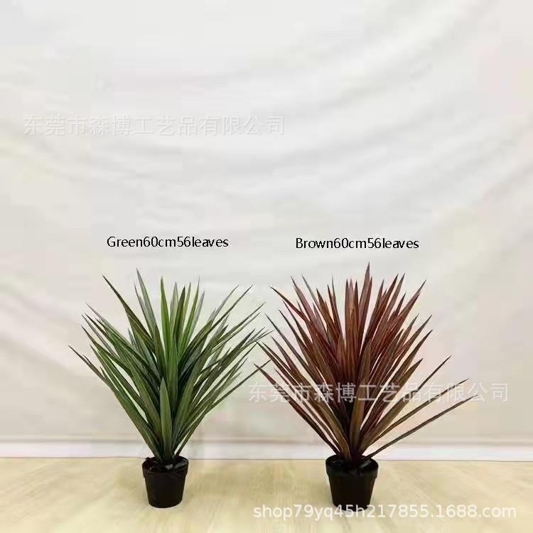 仿真热带绿植盆栽剑麻剑兰植物沙漠多肉芦荟虎皮兰落地造景装饰
