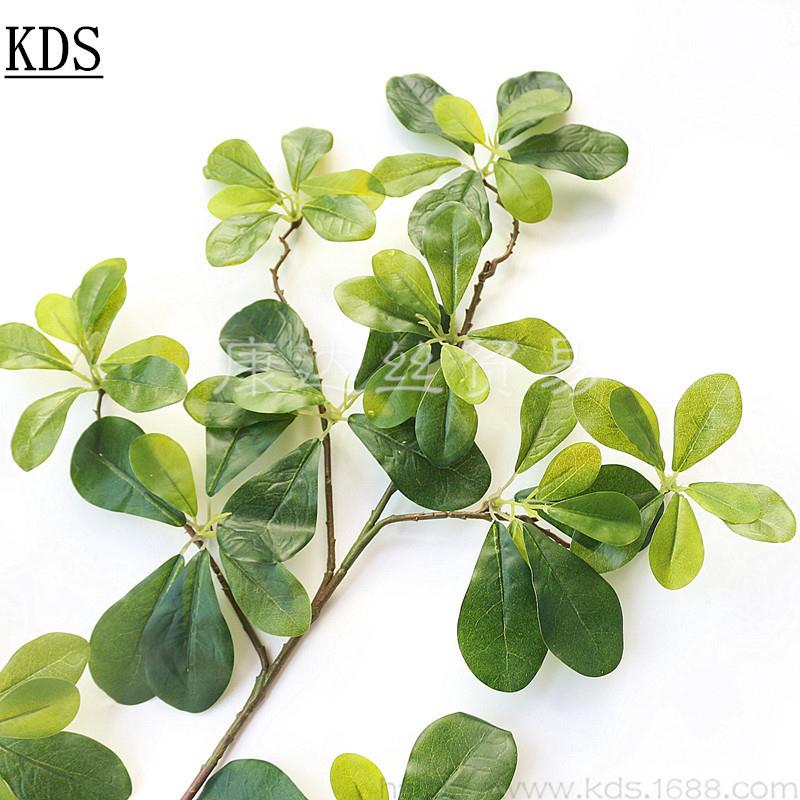 仿真植物福禄叶梧桐软叶绿树叶藤条装树饰假植叶子装工福禄桐程人