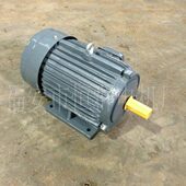 YT台湾款 18.5KW 6级 三相异步电动机 YT200L1