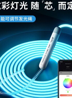 raynigel智能发光跳绳配件炫酷夜光儿童健身减肥运动专用雷尼格尔
