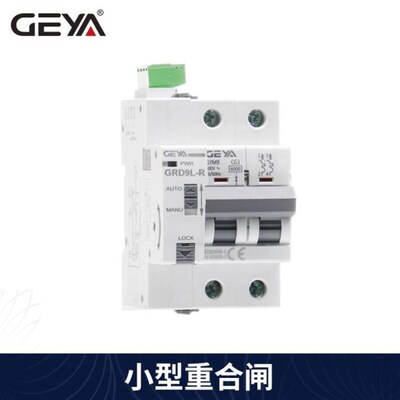 GEYA格亚小型自动重合闸断路器GRD9L-C/D/S/R/W 开关量输入 RS485