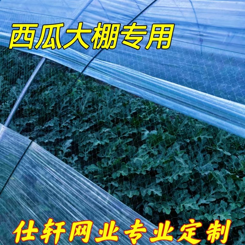 农用西瓜大棚防鸟网西o瓜棚口防护网棚口封门口网棚联动棚出口用