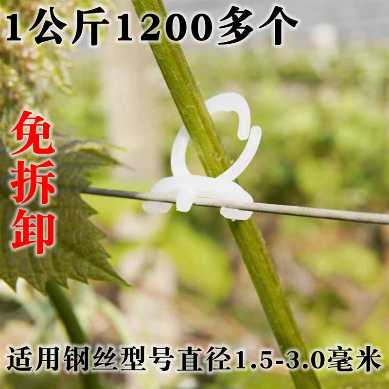 免拆绑枝卡子枝绑k枝机葡萄包邮绑枝卡套袋葡萄卡扣扎丝树苗猕猴