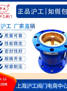 上海沪工良工阀门H41X-16Q消声止回阀法兰 立式单向阀逆止阀DN100