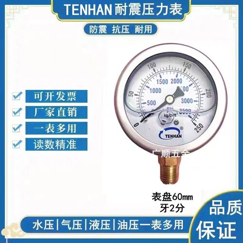 TENHAN 耐震压力表YN60  400KG 600kg 10MPA 400KG 250KG液压仪表
