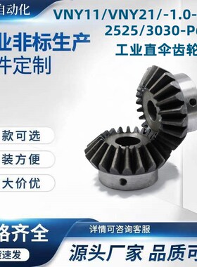 VNY11/VNY21/-1.0-2020/2525/3030-P6/P8工业直伞齿轮链轮