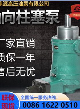 南通鼎源10/16/25/40/63/80/100/160/250/400YCY14-1B轴向柱塞泵