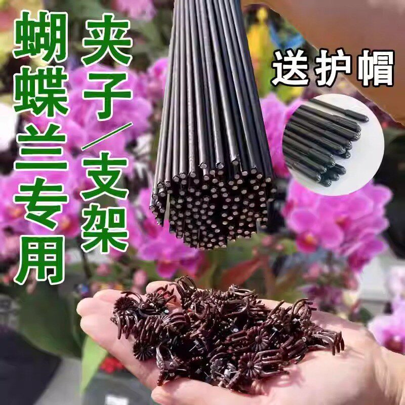 蝴蝶兰支架爬藤蔓藤花卉固定专用支撑杆花架花卉植物夹花定型夹子