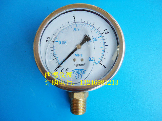 100MM直立式0-2KG/0.2MPA充油防震压力表,充油耐震压力表