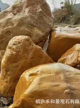 岸黄蜡102901石假山公园草化坪点缀黄蜡鹅卵石庭河院绿景观石道驳