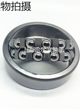 双排调心球轴承1300 1301 1302 1303 1304 1305 1306 1307  ATN