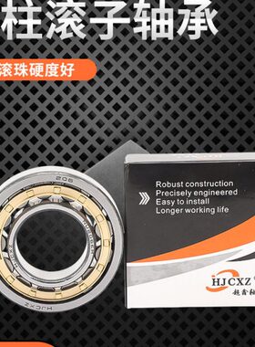 圆柱滚子轴承N NU NJ RN NUP NF 308 309 310 311 E M C3 4 P5