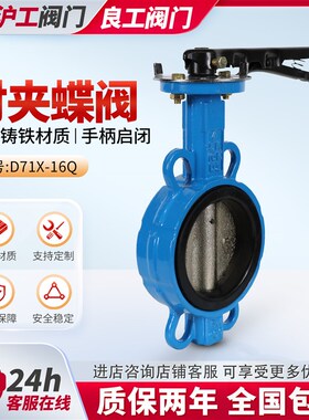 上海沪工阀门D71X手柄对夹蝶阀304阀板10手动16Q球墨铸铁DN80 100