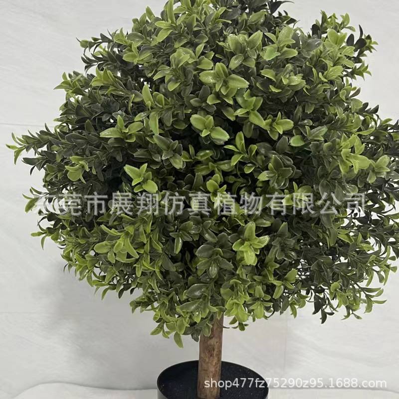 黄杨木杨梅叶圣生白蒂树枝假果枝插花摆件花卉景观仿真绿植摆件