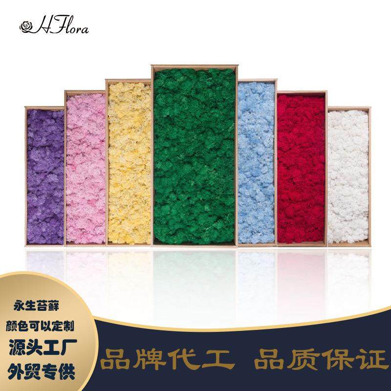 永生花驯鹿苔藓景观造景块状苔藓酒店装饰公司背景墙青苔DIY材料,家居饰品,餐桌花艺,淘宝优惠券,粉丝福利购,淘宝优惠卷